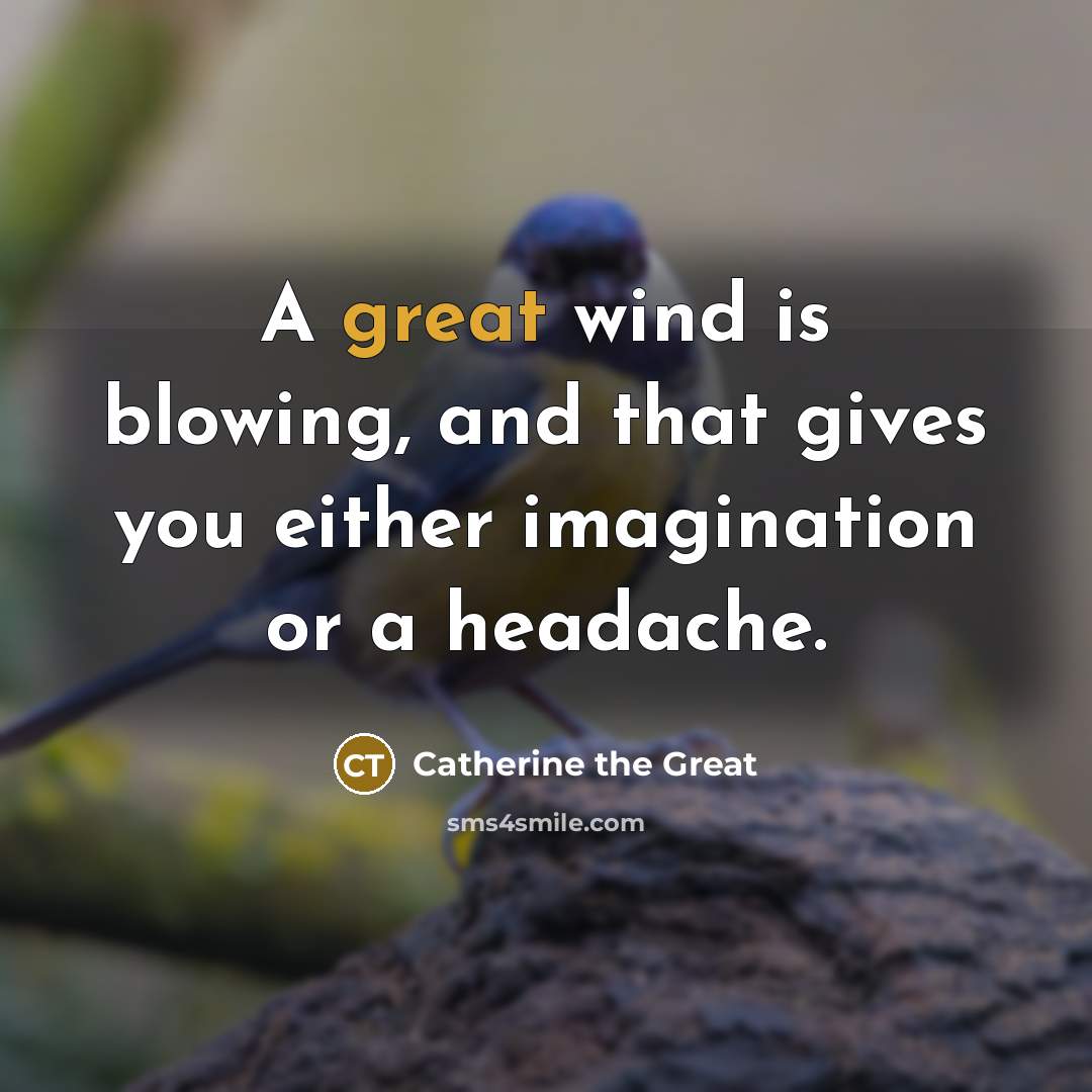 “A great wind is blowing, and that gives you either…” quote by Catherine the Great