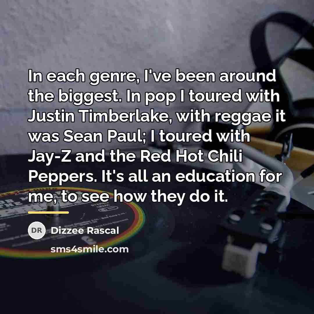 “In each genre, I've been around the biggest. In pop…” quote by Dizzee Rascal