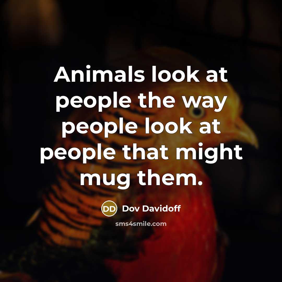 “Animals look at people the way people look at people…” quote by Dov Davidoff