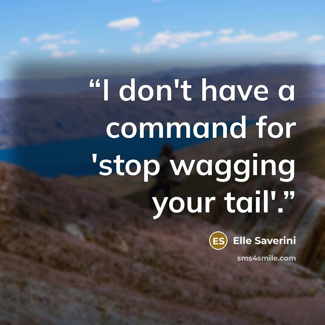 “I don't have a command for 'stop wagging your tail'.” quote by Elle Saverini