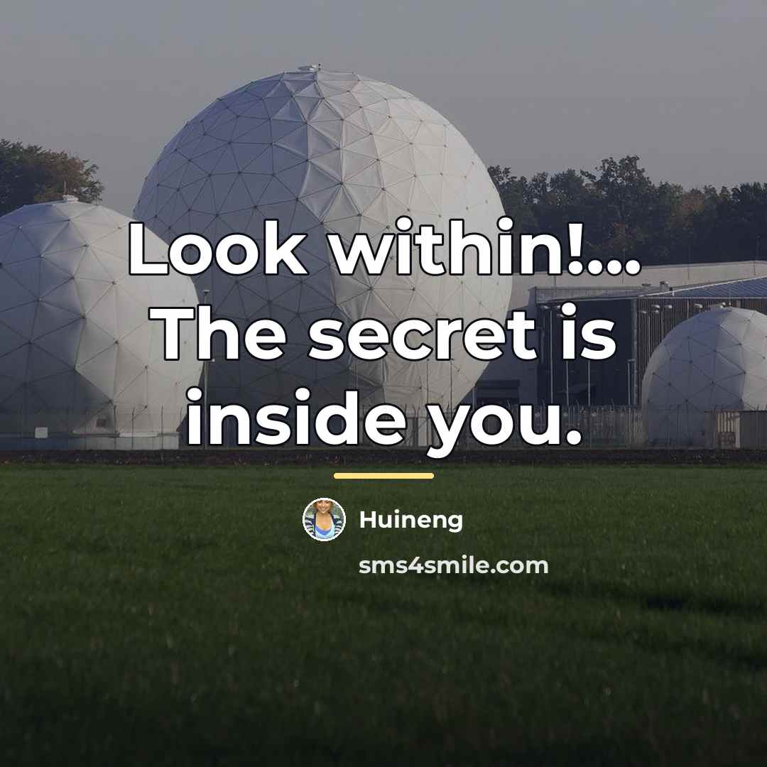 “Look within!... The secret is inside you.…” quote by Huineng