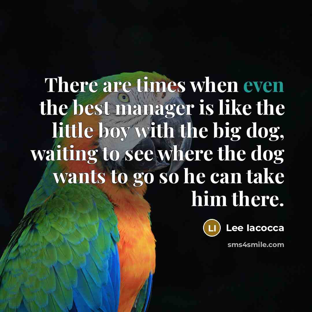 “There are times when even the best manager is like the little boy with the big dog, waiting to see where the dog wants to go so he can take him there.” quote by Lee Iacocca
