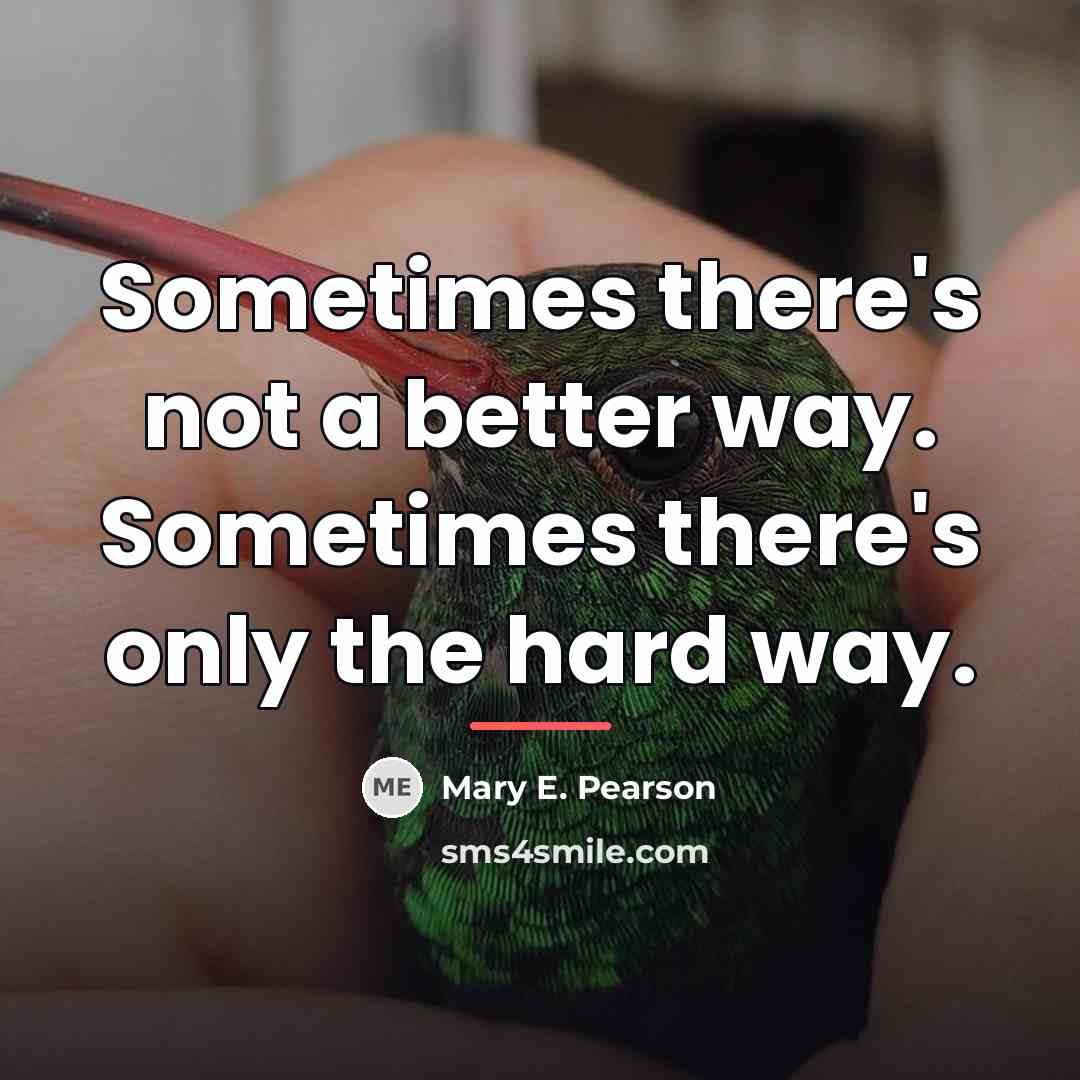 “Sometimes there's not a better way. Sometimes there's only the…” quote by Mary E. Pearson