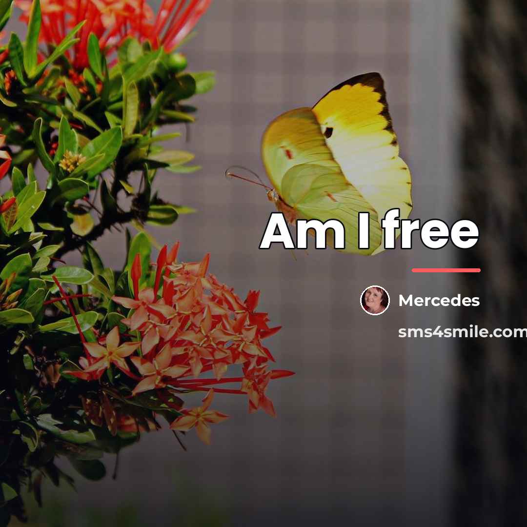“Am I free…” quote by Mercedes