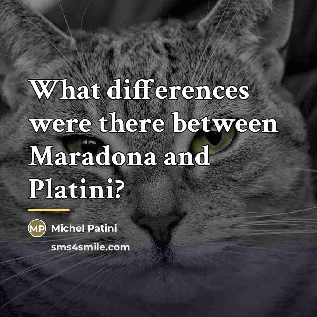 “What differences were there between Maradona and Platini?…” quote by Michel Patini