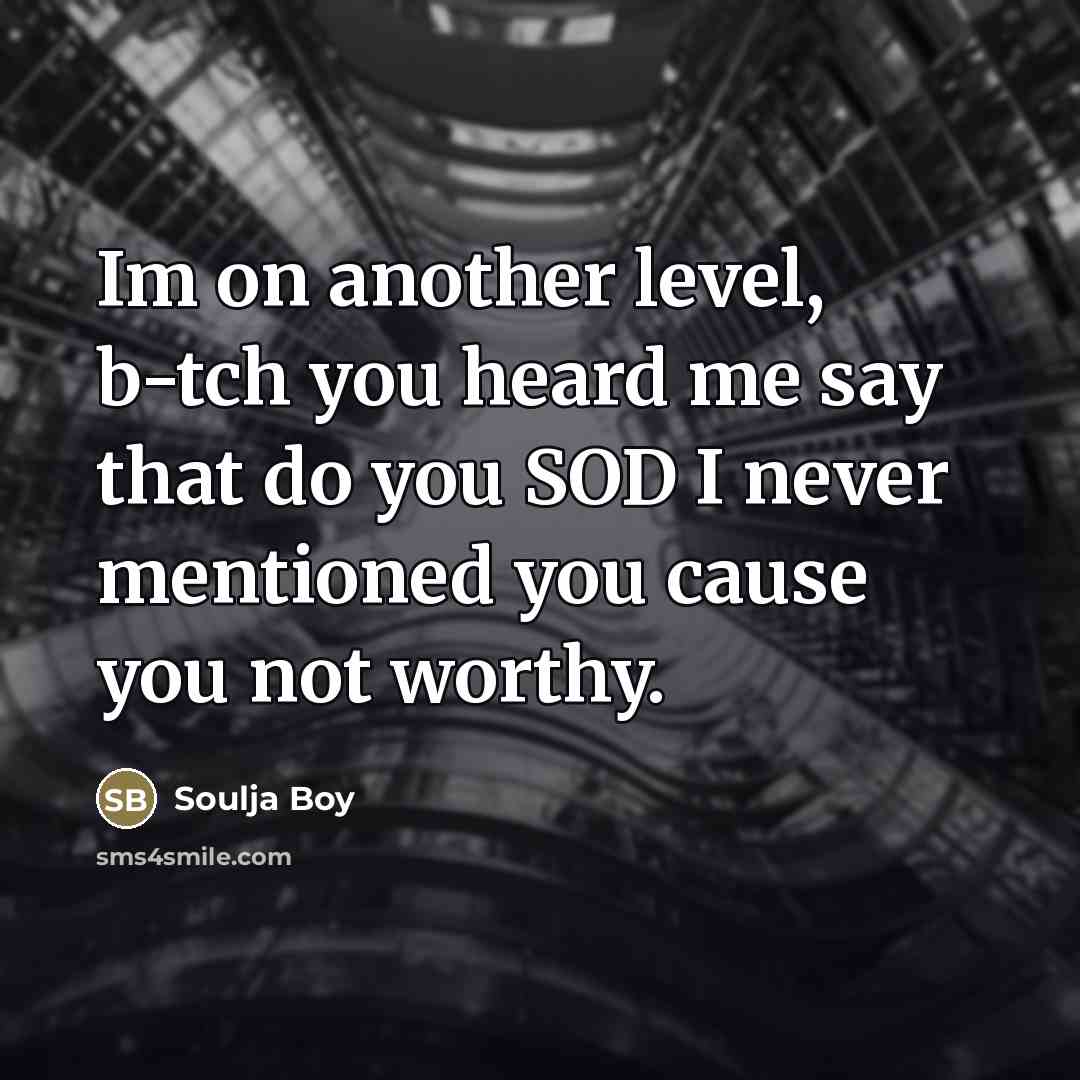 “Im on another level, b-tch you heard me say that…” quote by Soulja Boy
