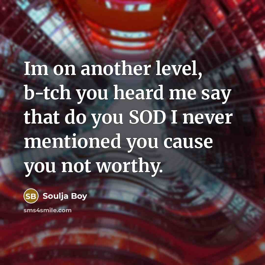 “Im on another level, b-tch you heard me say that do you SOD I never mentioned you cause you not worthy.” quote by Soulja Boy