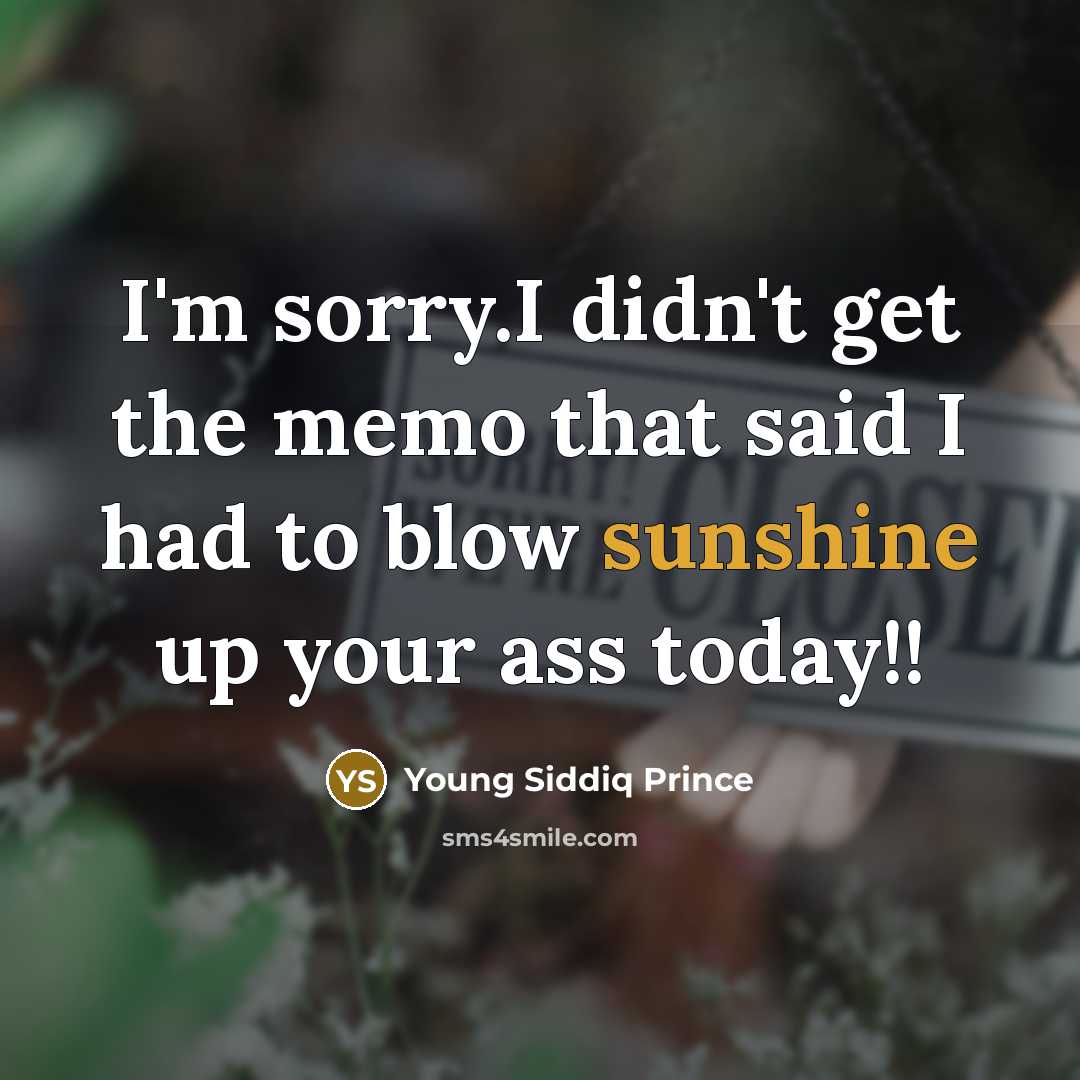 “I'm sorry.I didn't get the memo that said I had…” quote by Young Siddiq Prince
