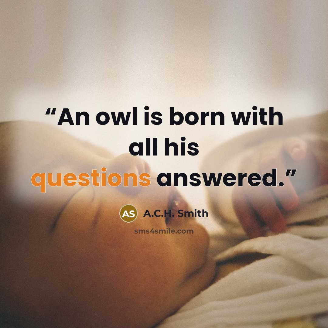 “An owl is born with all his questions answered.” quote by A.C.H. Smith