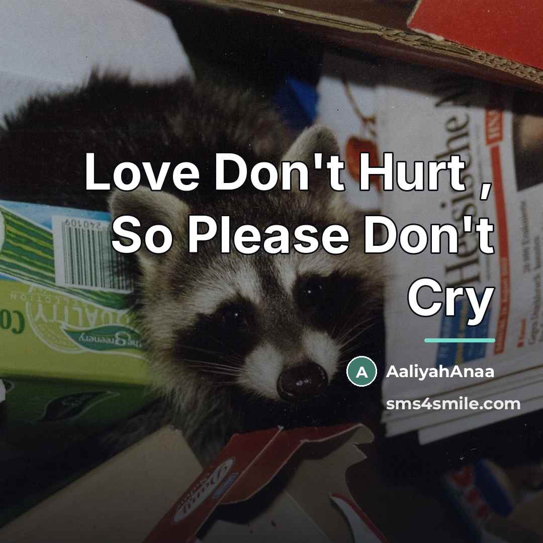 “Love Don't Hurt , So Please Don't Cry…” quote by AaliyahAnaa