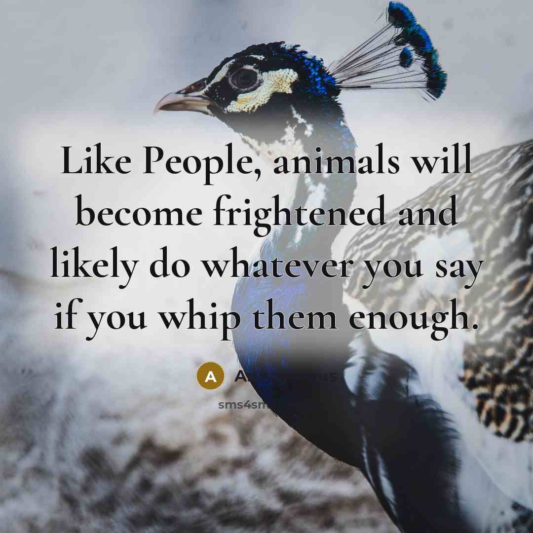 “Like People, animals will become frightened and likely do whatever…” quote by Anonymous