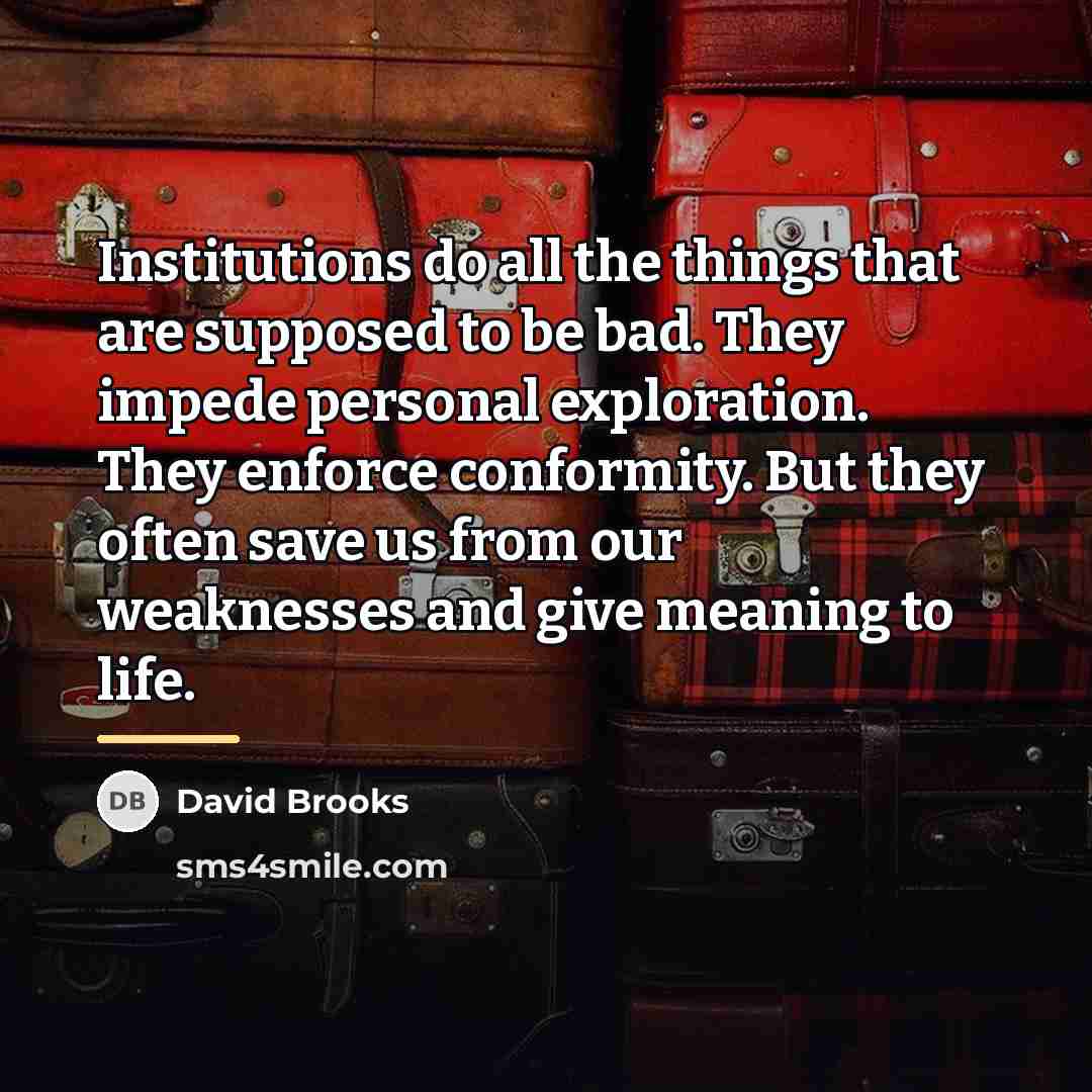 “Institutions do all the things that are supposed to be…” quote by David Brooks