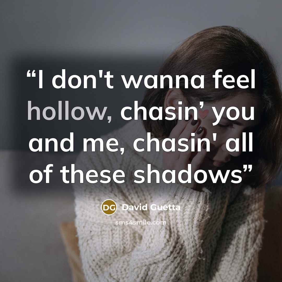 “I don't wanna feel hollow, chasin’ you and me, chasin' all of these shadows” quote by David Guetta