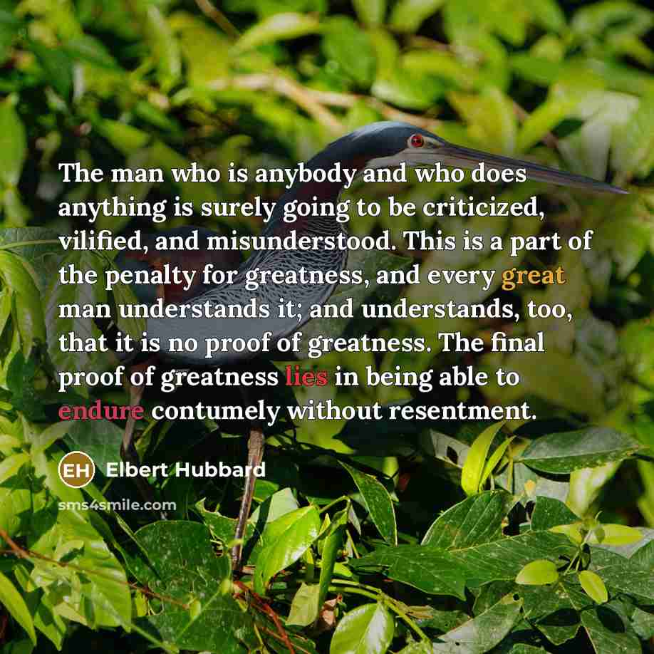 “The man who is anybody and who does anything is…” quote by Elbert Hubbard