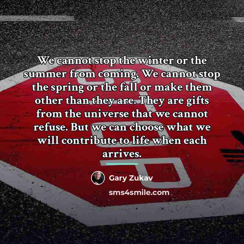 “We cannot stop the winter or the summer from coming.…” quote by Gary Zukav