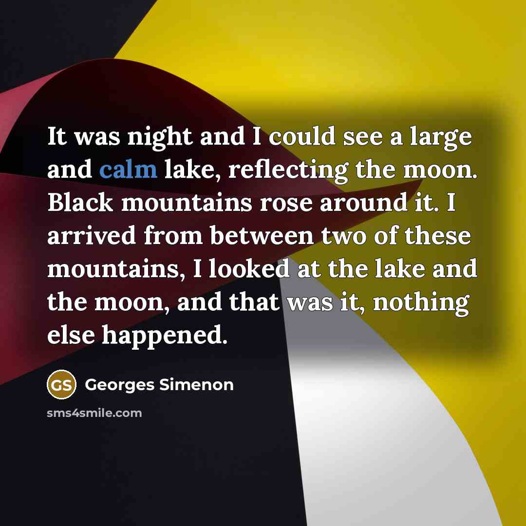 “It was night and I could see a large and…” quote by Georges Simenon