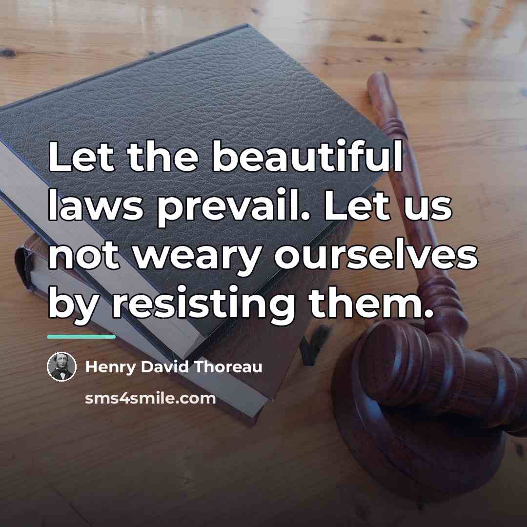 “Let the beautiful laws prevail. Let us not weary ourselves…” quote by Henry David Thoreau