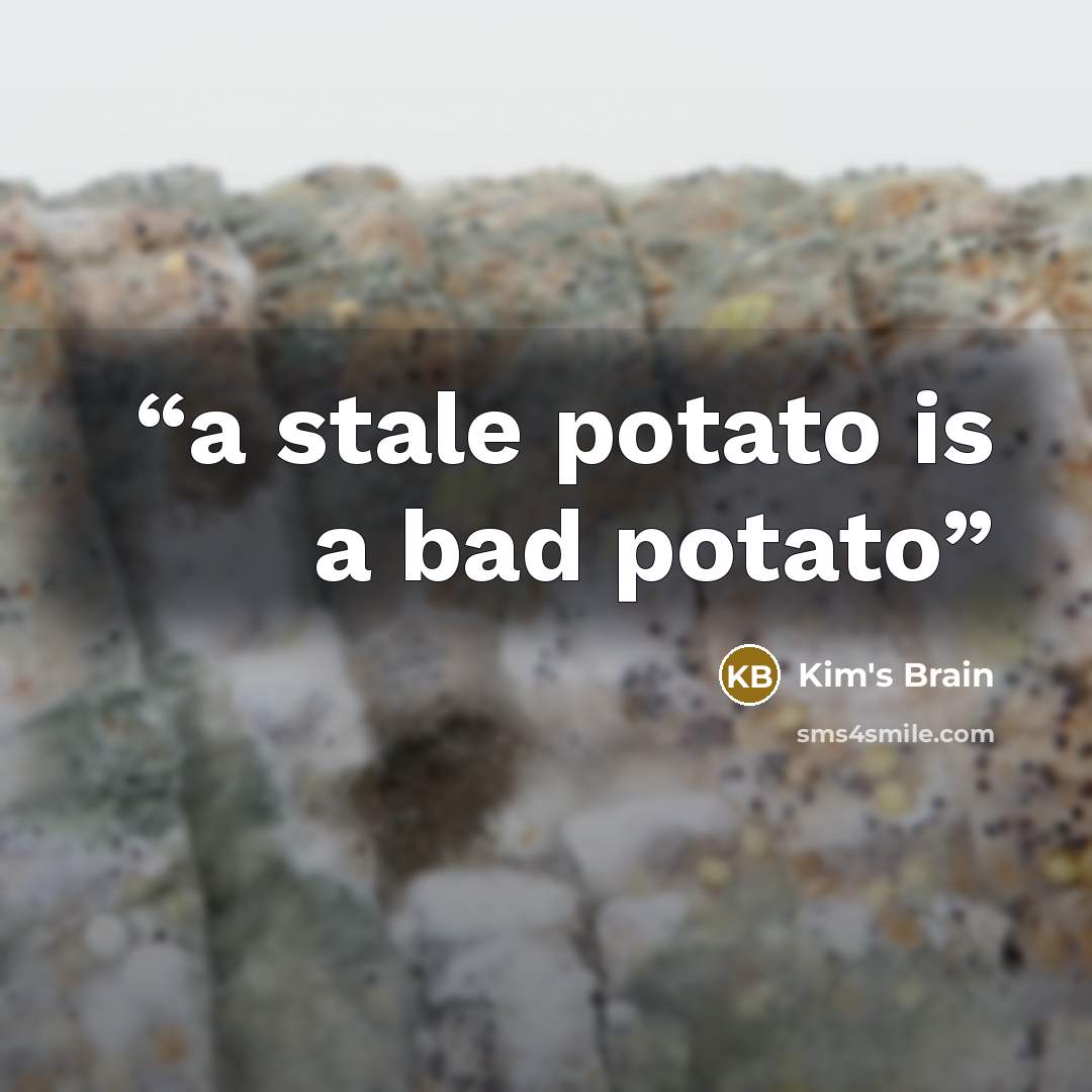 “a stale potato is a bad potato” quote by Kim's Brain