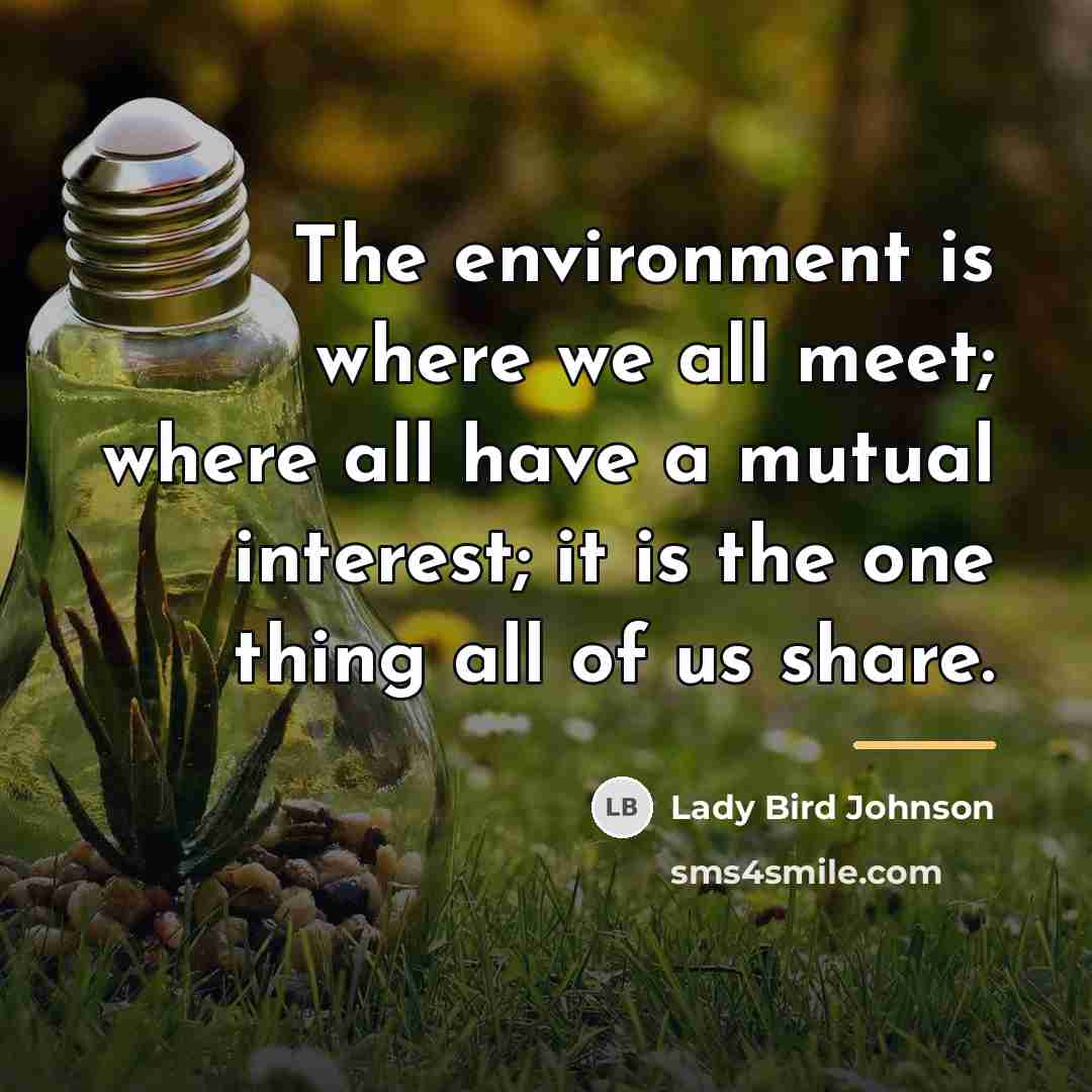 “The environment is where we all meet; where all have…” quote by Lady Bird Johnson