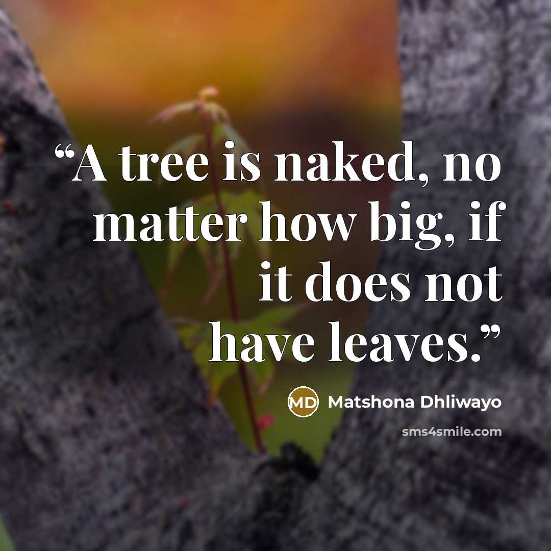 “A tree is naked, no matter how big, if it does not have leaves.” quote by Matshona Dhliwayo