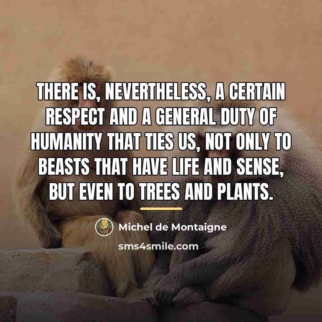 “There is, nevertheless, a certain respect and a general duty…” quote by Michel de Montaigne