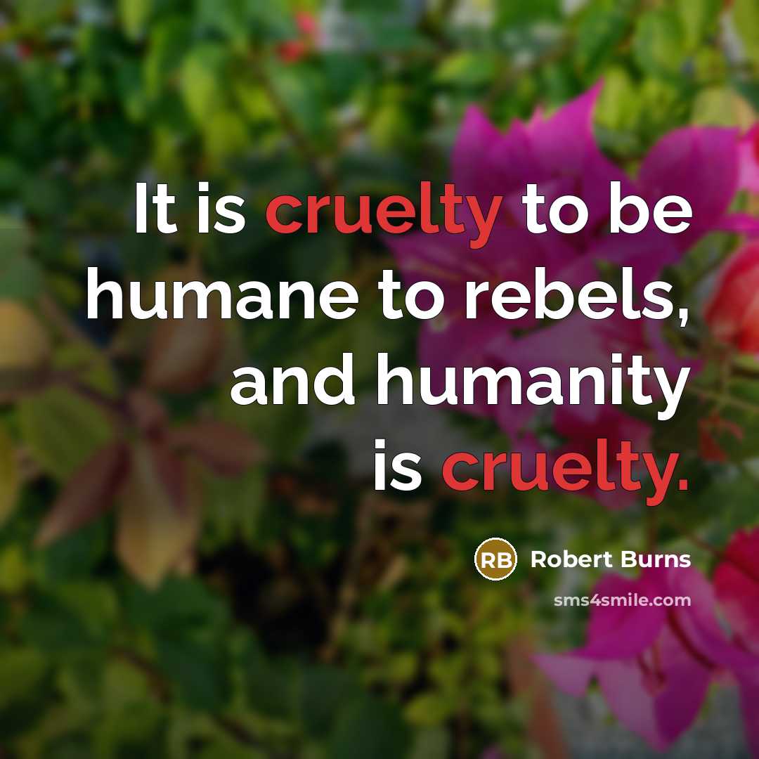 “It is cruelty to be humane to rebels, and humanity…” quote by Robert Burns
