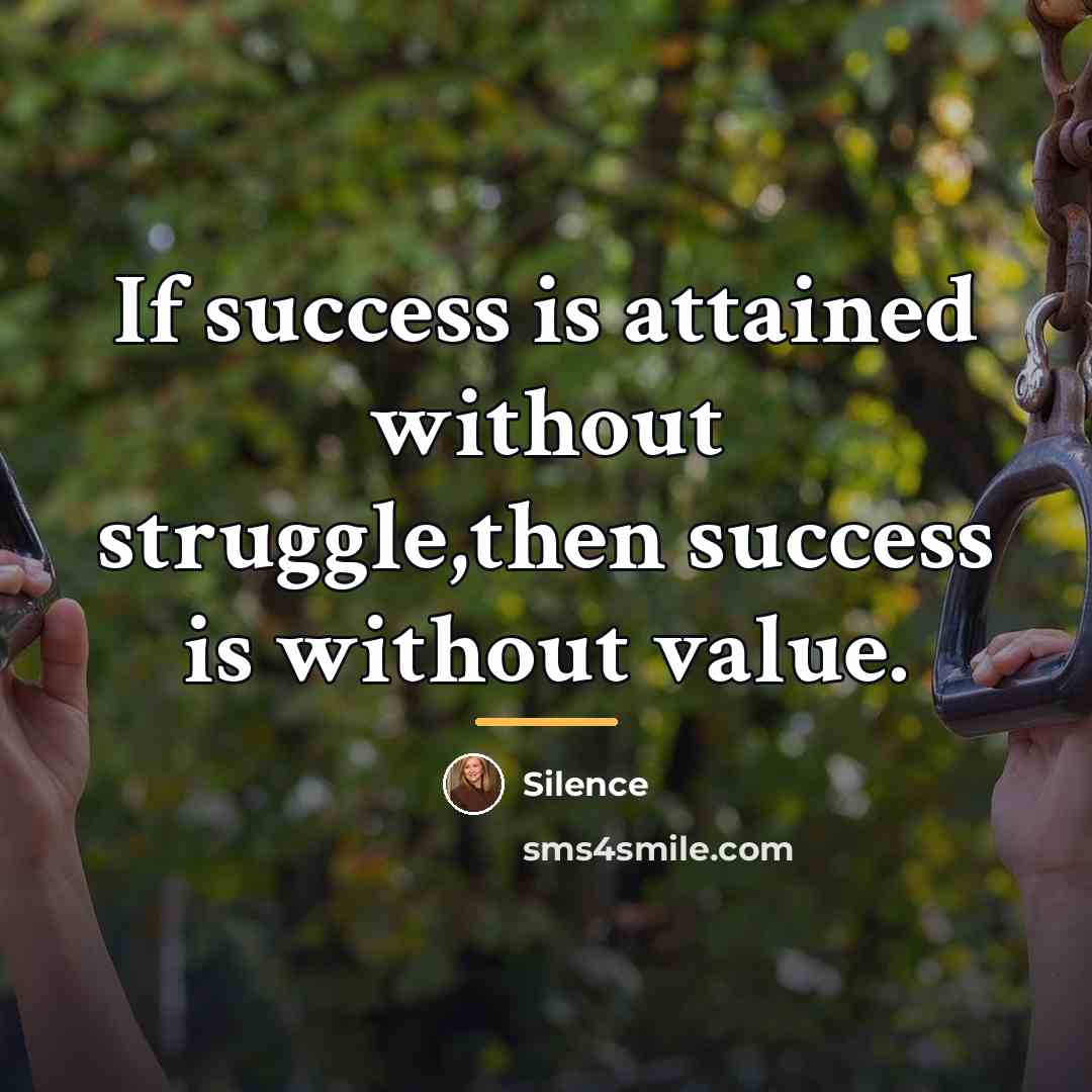 “If success is attained without struggle,then success is without value.…” quote by Silence