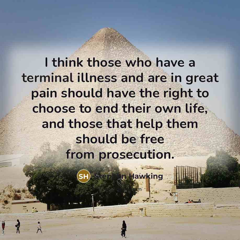 “I think those who have a terminal illness and are…” quote by Stephen Hawking