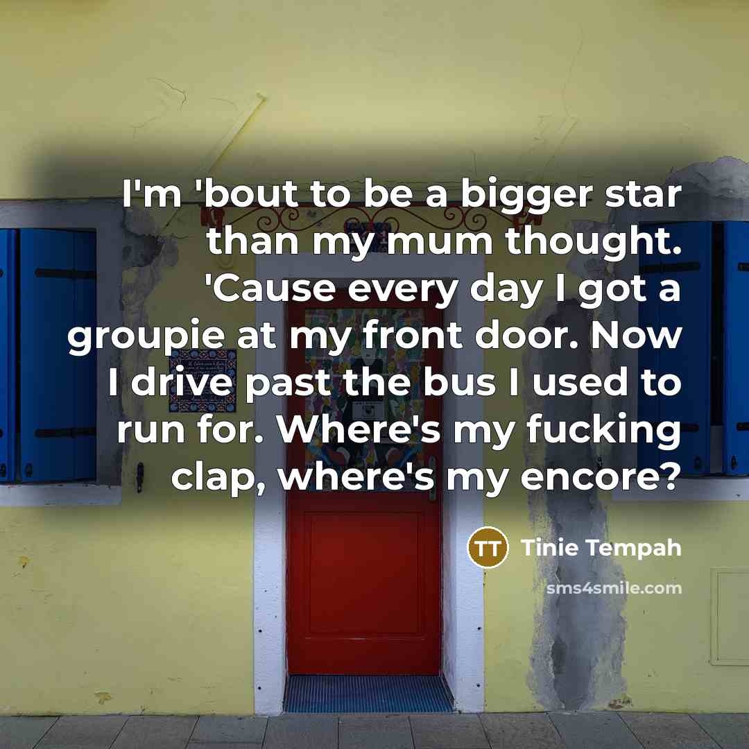 “I'm 'bout to be a bigger star than my mum…” quote by Tinie Tempah