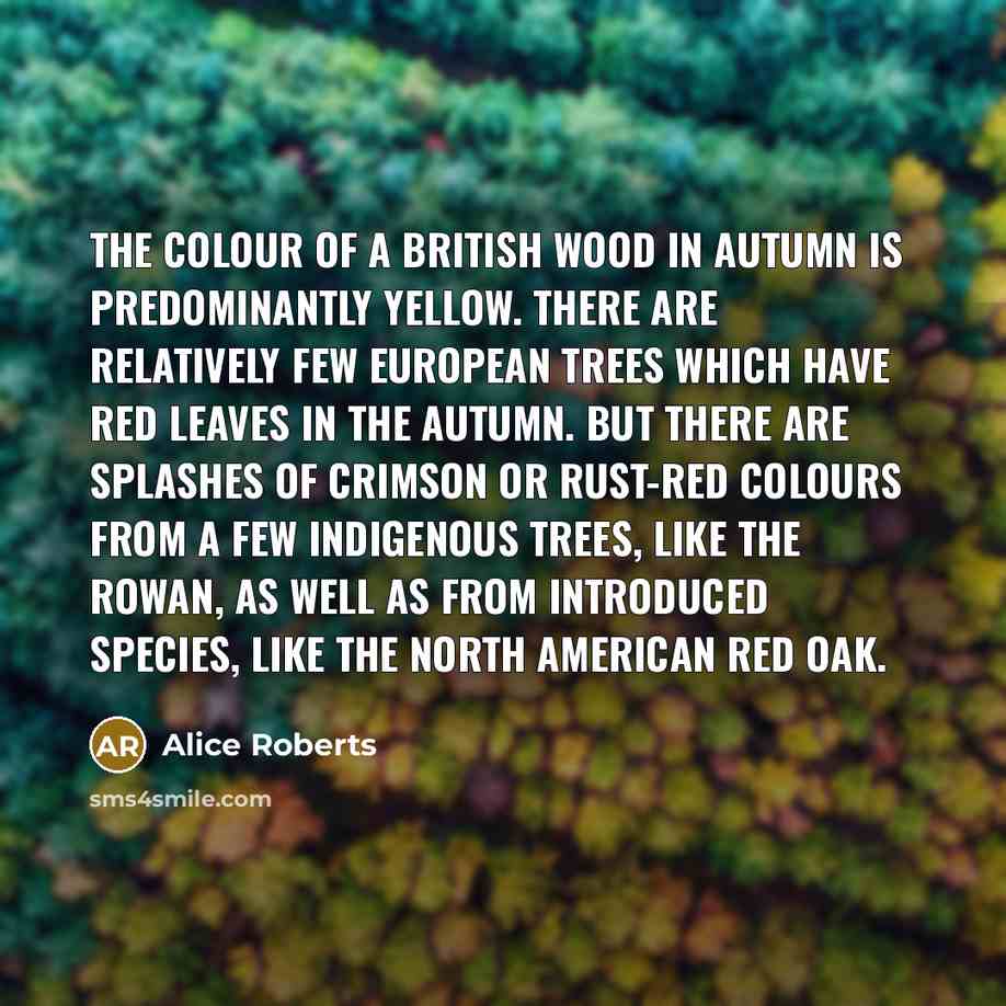 “The colour of a British wood in autumn is predominantly…” quote by Alice Roberts