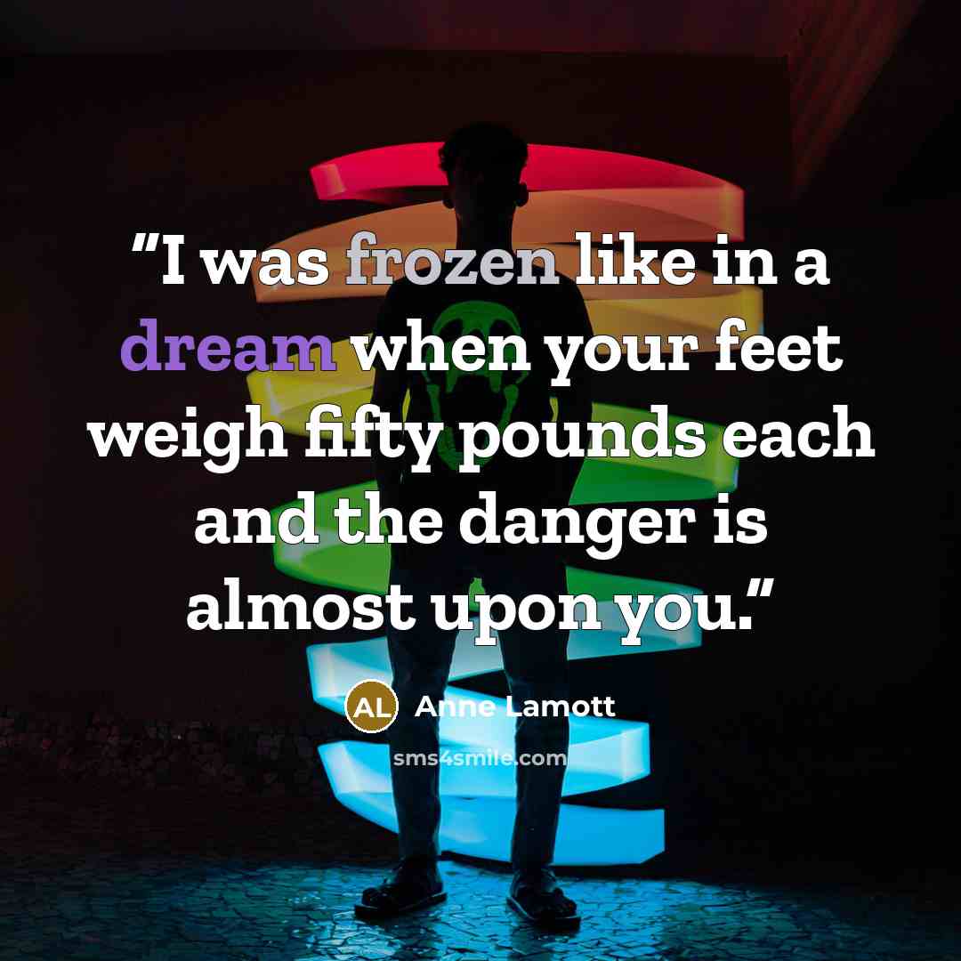 “I was frozen like in a dream when your feet weigh fifty pounds each and the danger is almost upon you.” quote by Anne Lamott