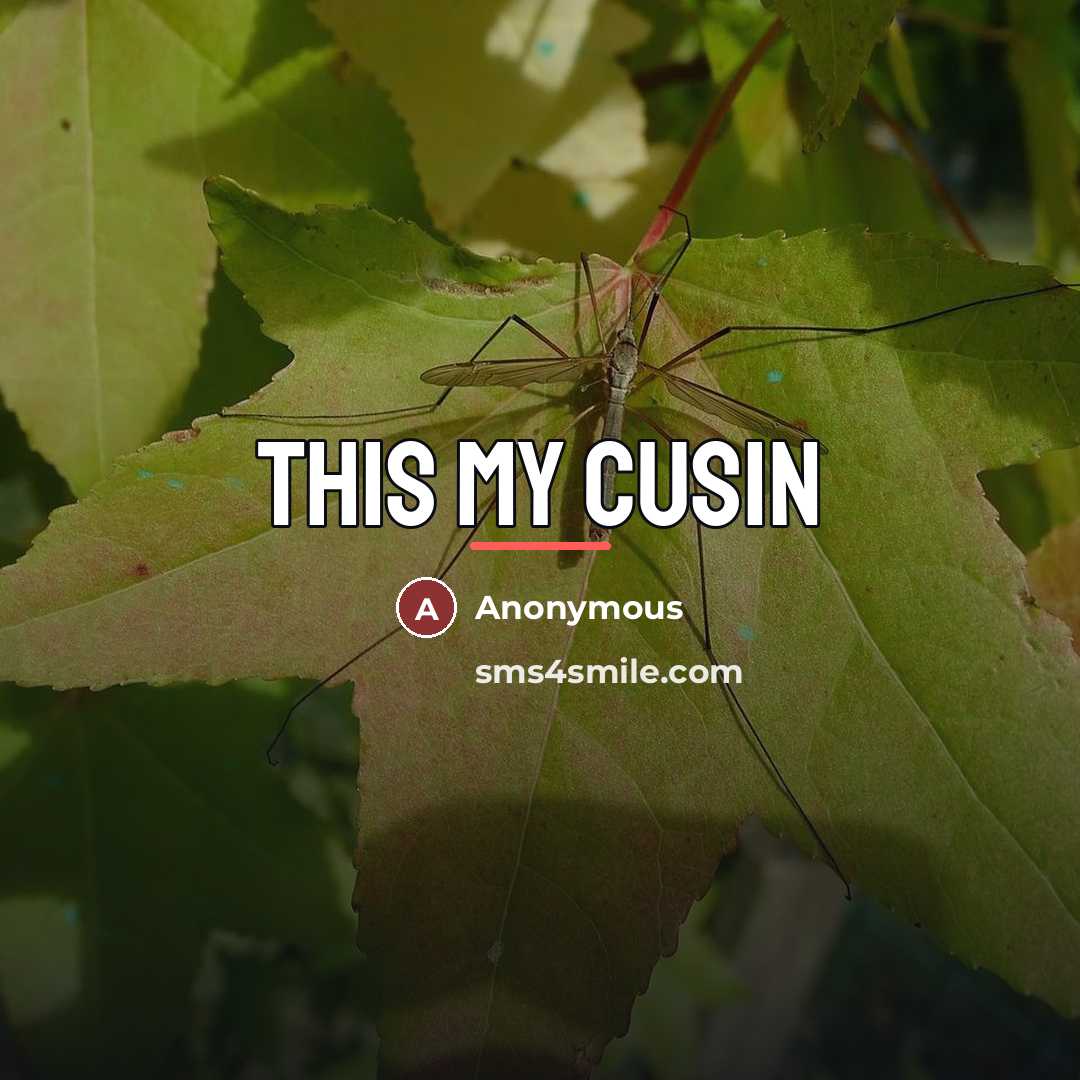 “This my cusin…” quote by Anonymous