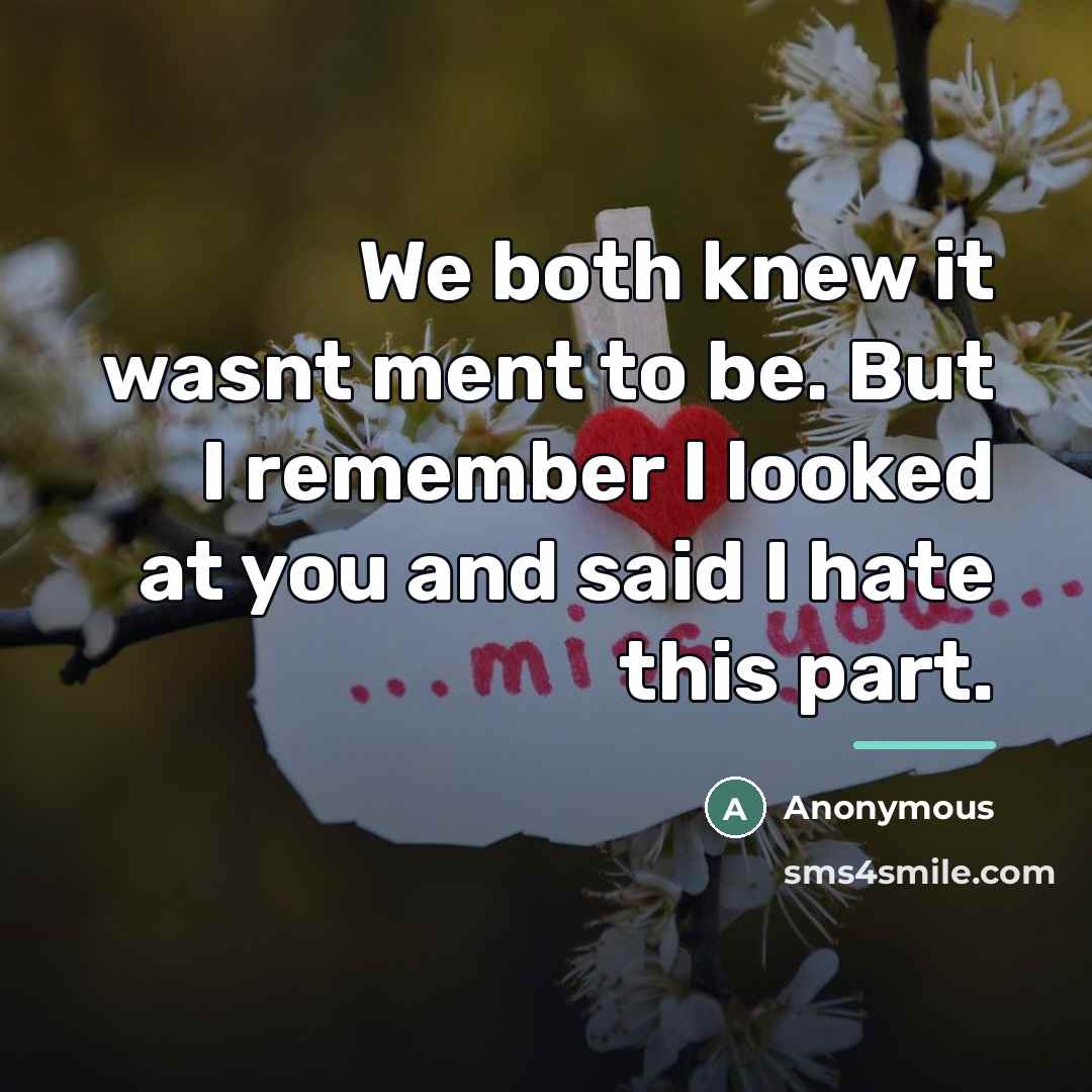 “We both knew it wasnt ment to be. But I…” quote by Anonymous