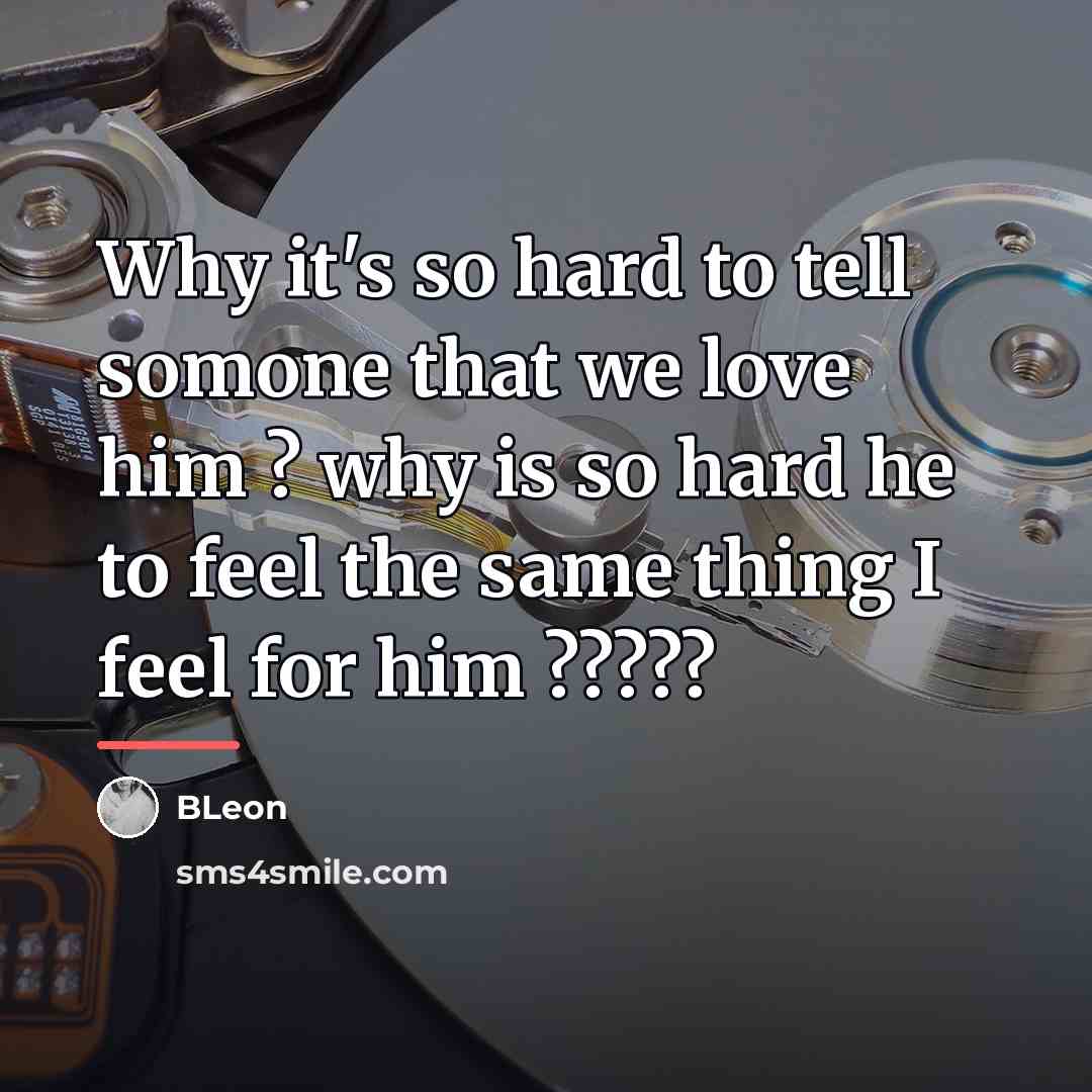 “Why it's so hard to tell somone that we love…” quote by BLeon