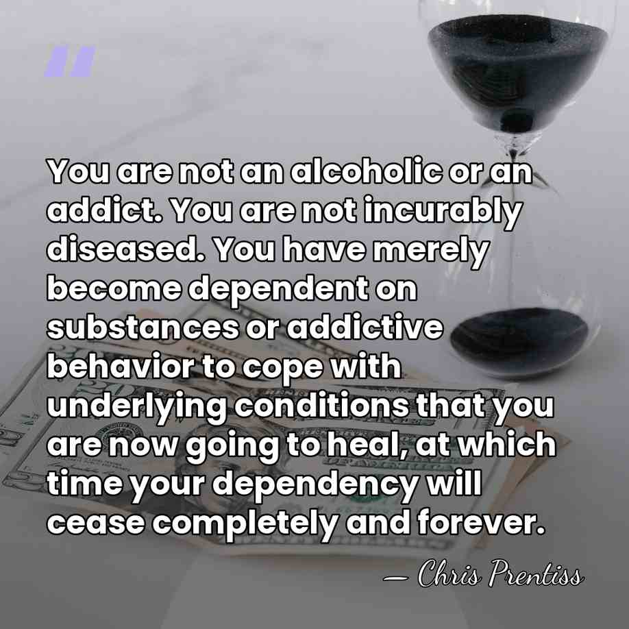 You are not an alcoholic or an addict. You are not incurably&hellip; - Chris Prentiss