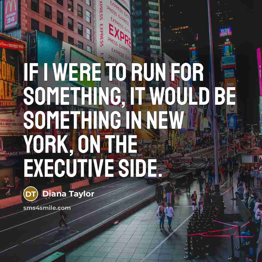 “If I were to run for something, it would be something in New York, on the executive side.” quote by Diana Taylor