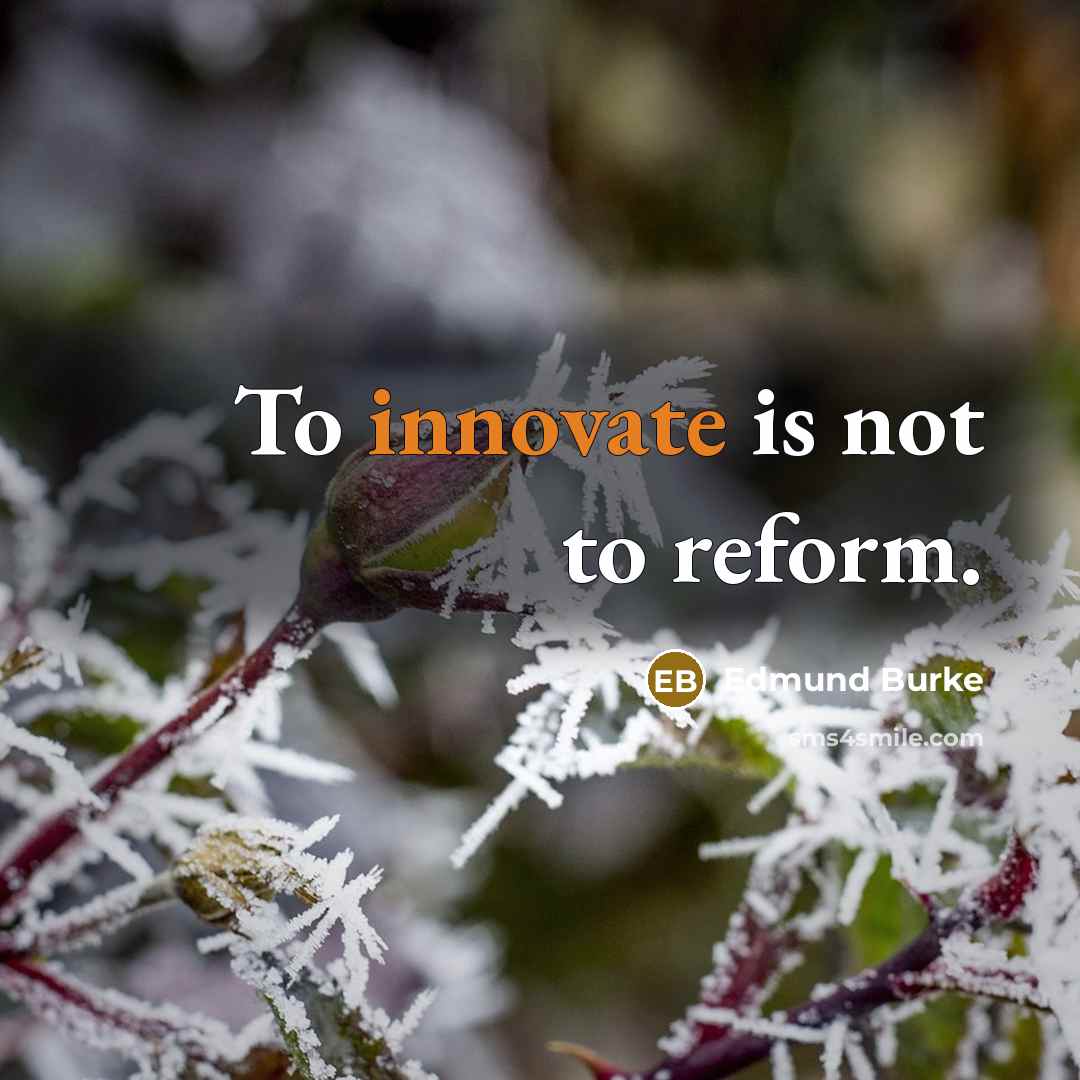 “To innovate is not to reform.…” quote by Edmund Burke