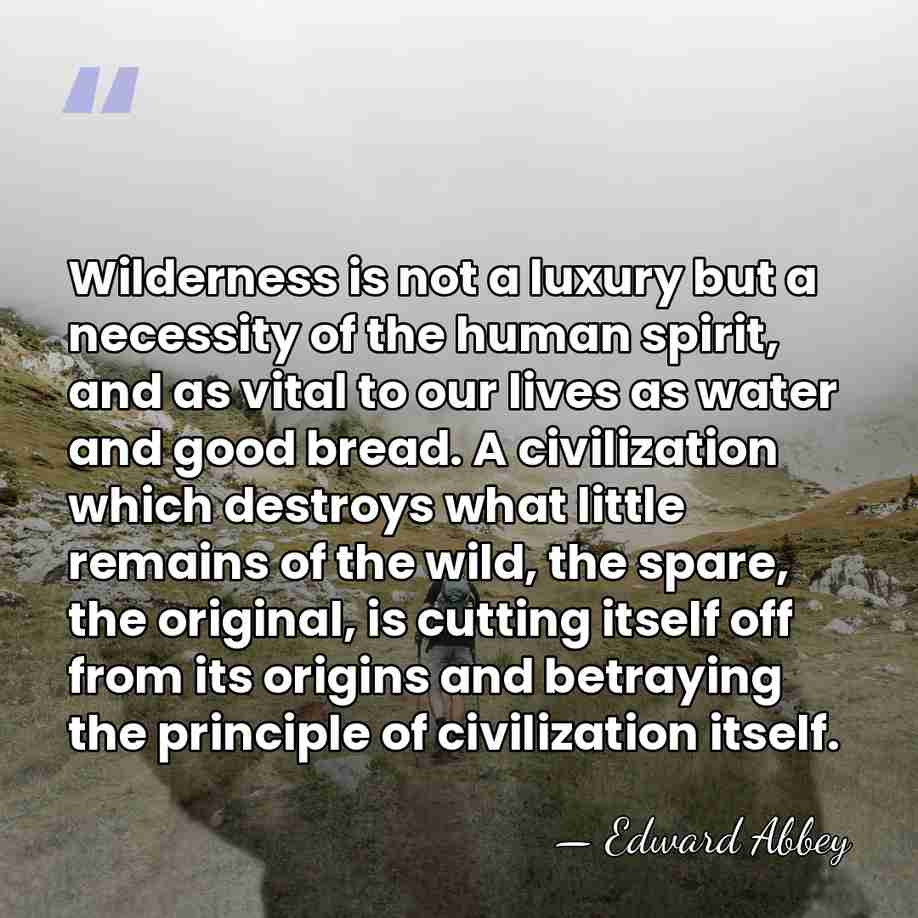 Wilderness is not a luxury but a necessity of the human spirit,&hellip; - Edward Abbey