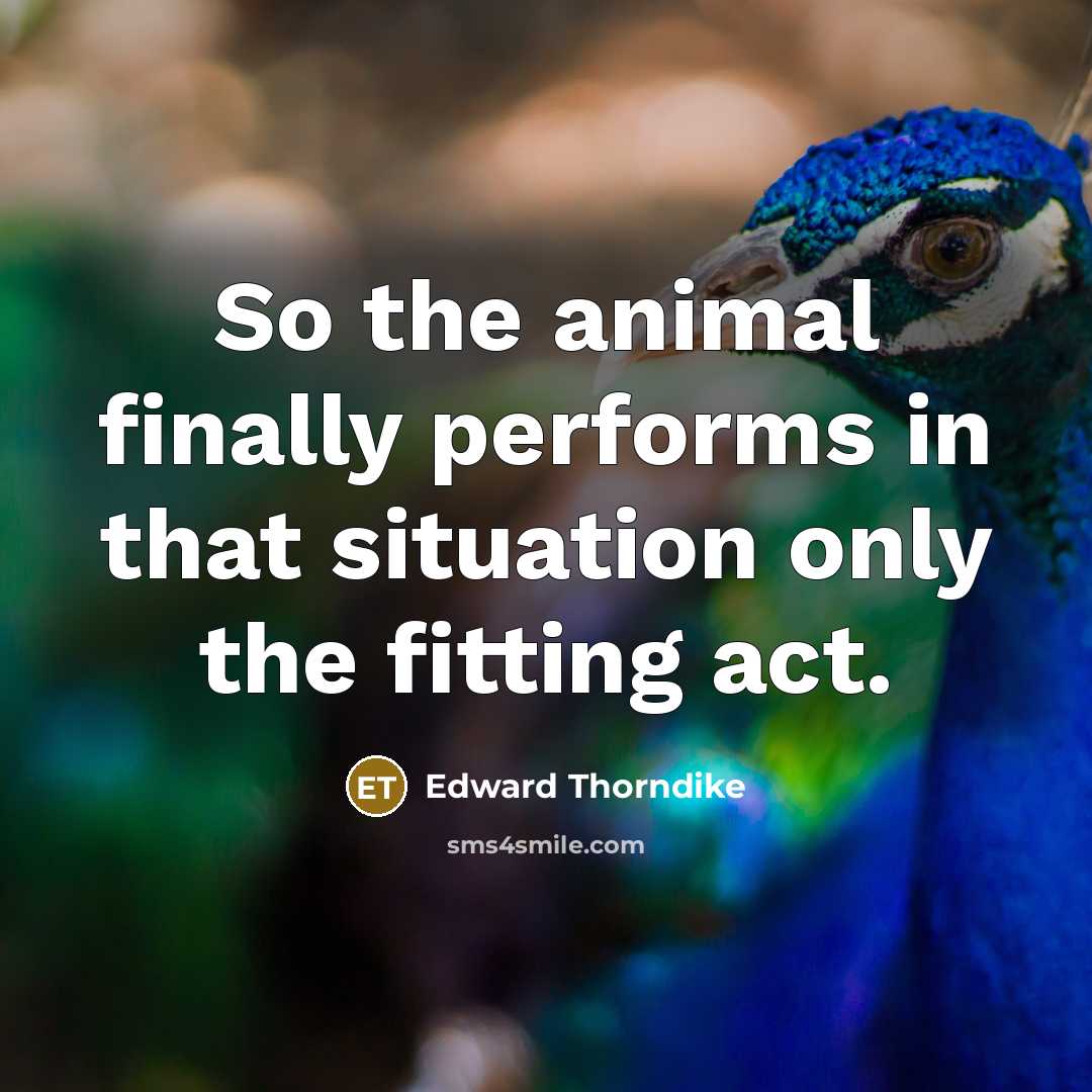 “So the animal finally performs in that situation only the…” quote by Edward Thorndike