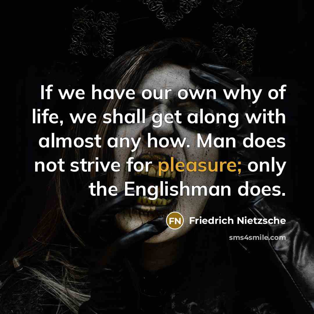 “If we have our own why of life, we shall…” quote by Friedrich Nietzsche