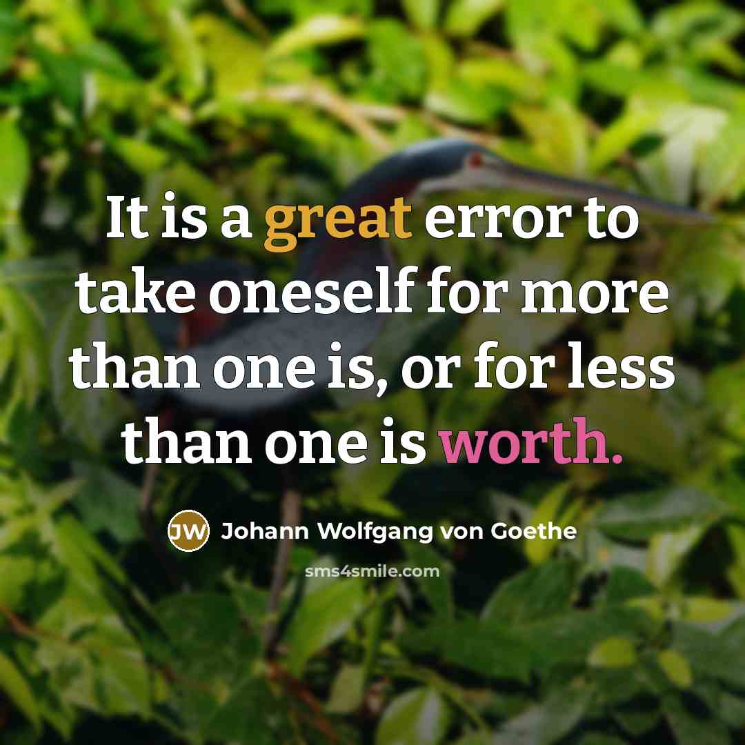 “It is a great error to take oneself for more than one is, or for less than one is worth.” quote by Johann Wolfgang von Goethe
