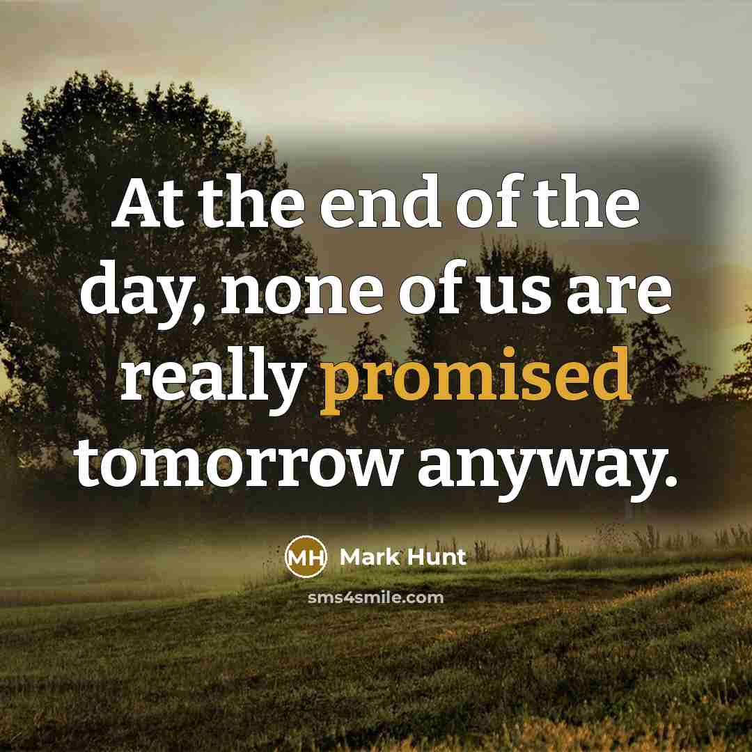 “At the end of the day, none of us are…” quote by Mark Hunt