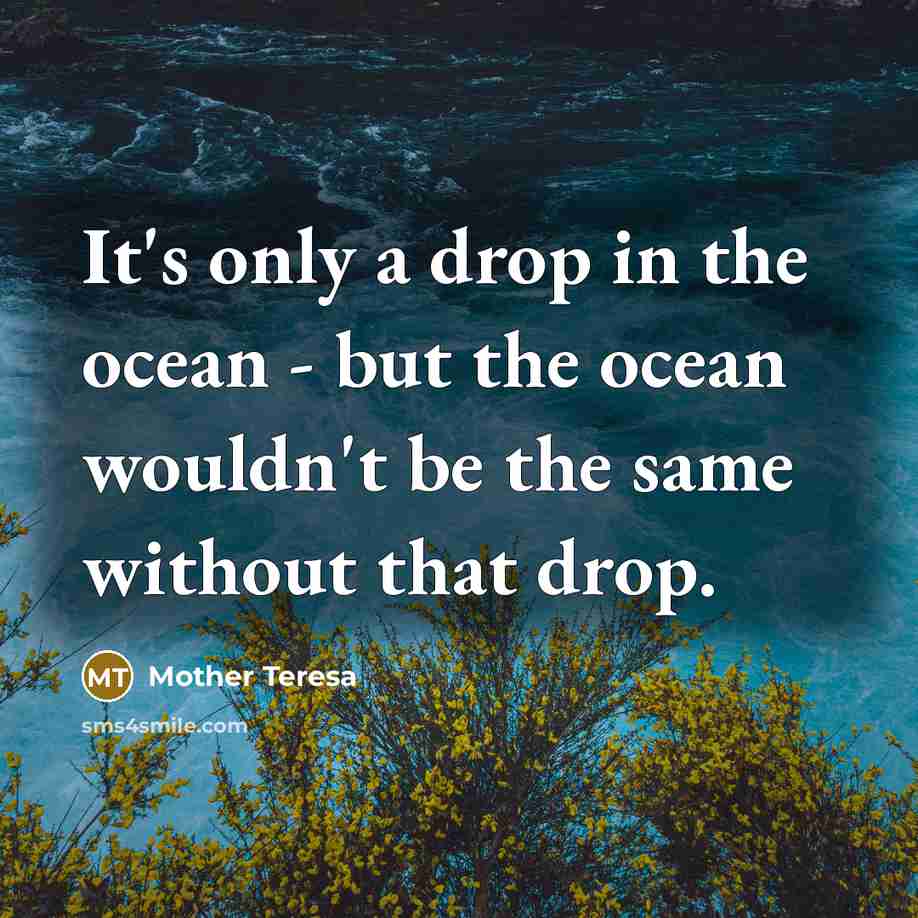 “It's only a drop in the ocean - but the ocean wouldn't be the same without that drop.” quote by Mother Teresa