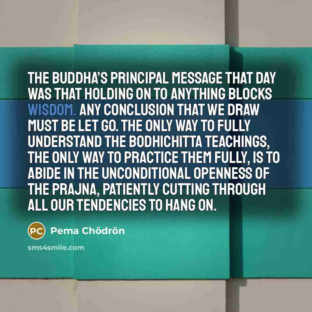 “The Buddha’s principal message that day was that holding on…” quote by Pema Chodron