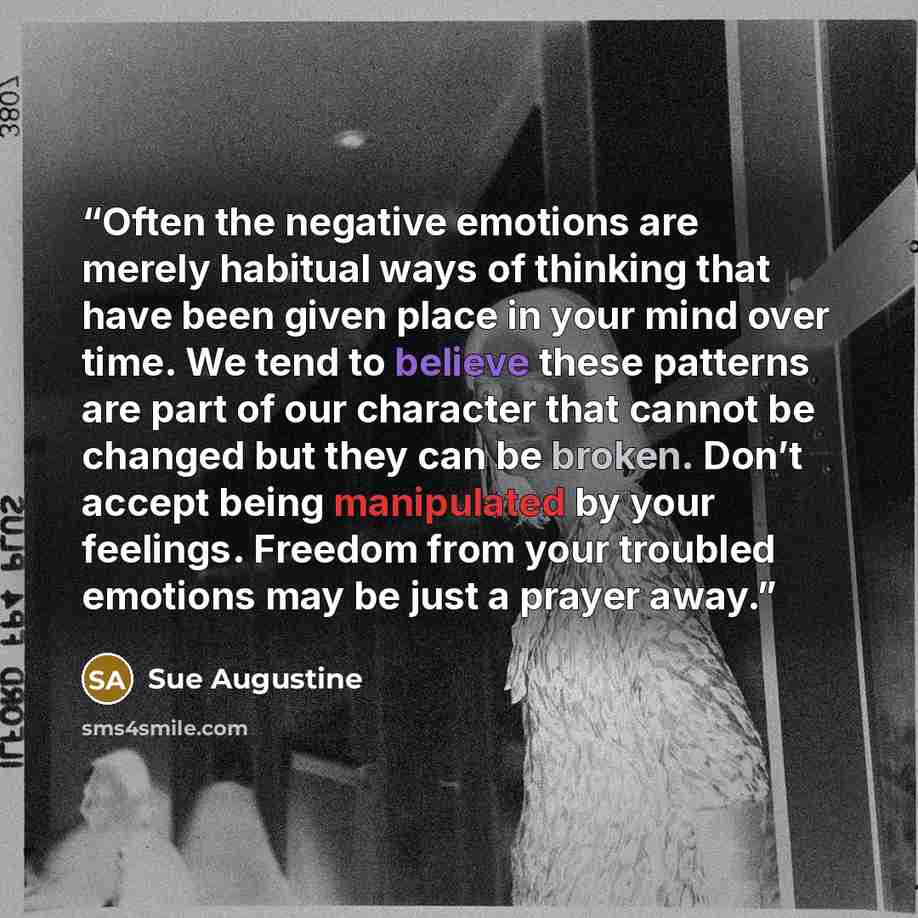 “Often the negative emotions are merely habitual ways of thinking that have been given place in your mind over time. We tend to believe these patterns are part of our character that cannot be changed but they can be broken. Don’t accept being manipulated by your feelings. Freedom from your troubled…” quote by Sue Augustine