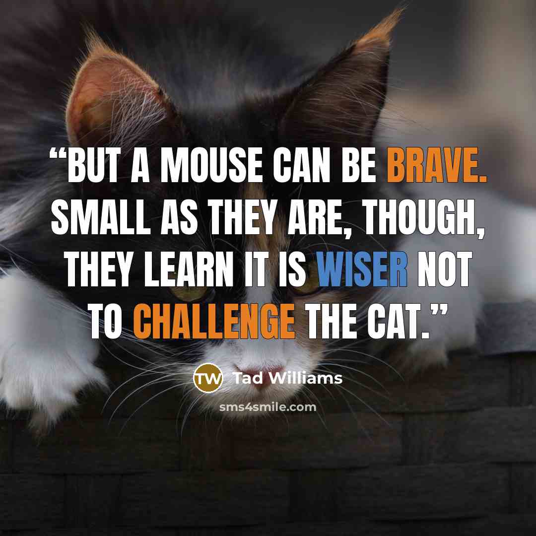 “But a mouse can be brave. Small as they are, though, they learn it is wiser not to challenge the cat.” quote by Tad Williams