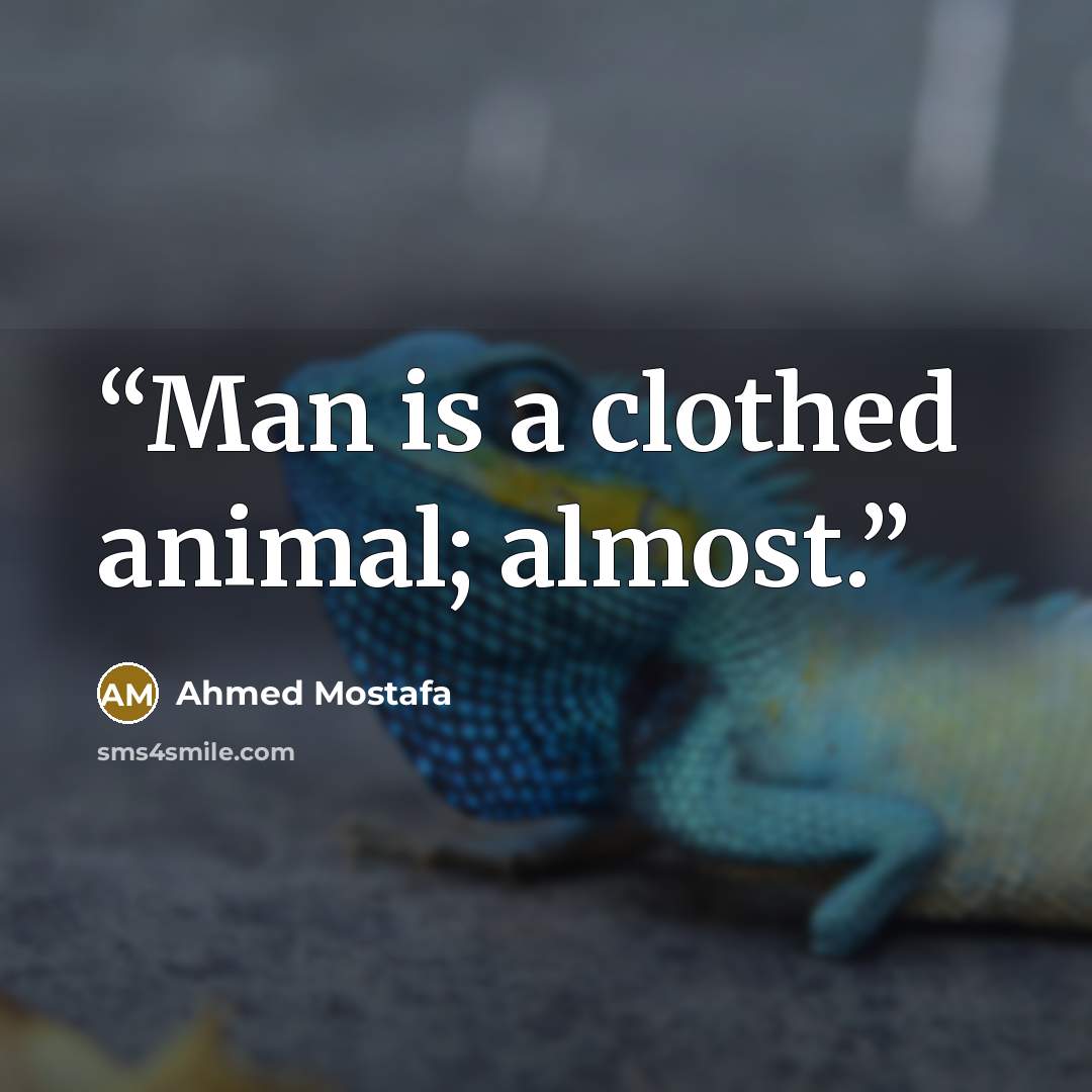 “Man is a clothed animal; almost.” quote by Ahmed Mostafa