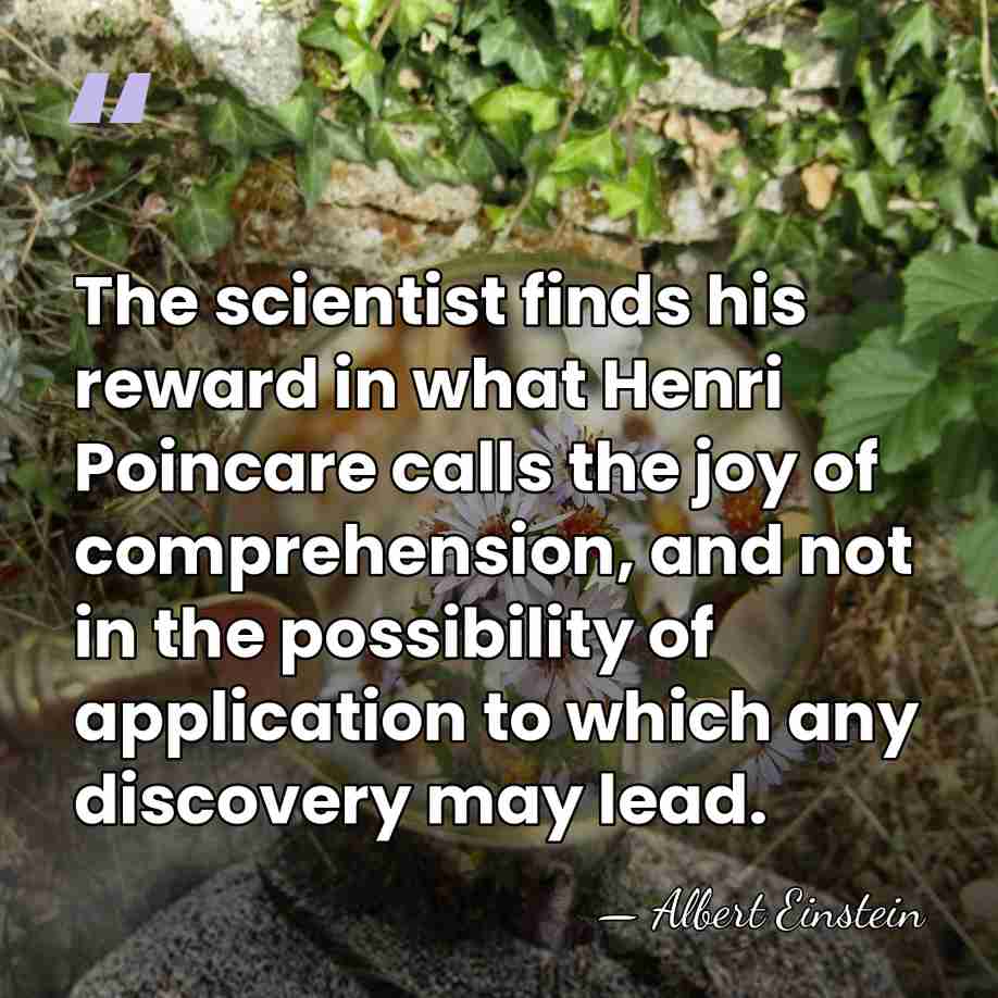 The scientist finds his reward in what Henri Poincare calls the joy&hellip; - Albert Einstein