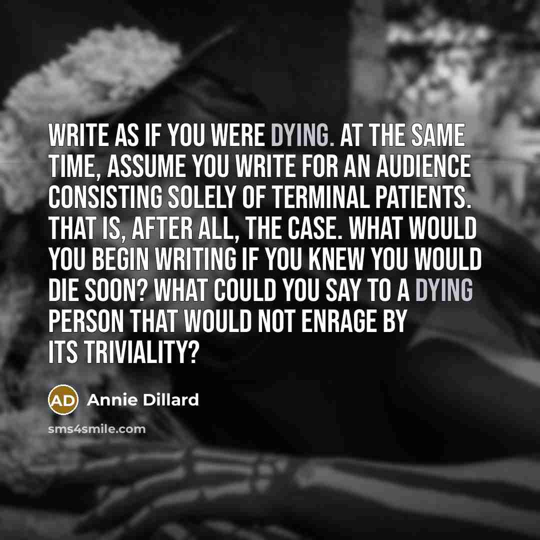 “Write as if you were dying. At the same time,…” quote by Annie Dillard