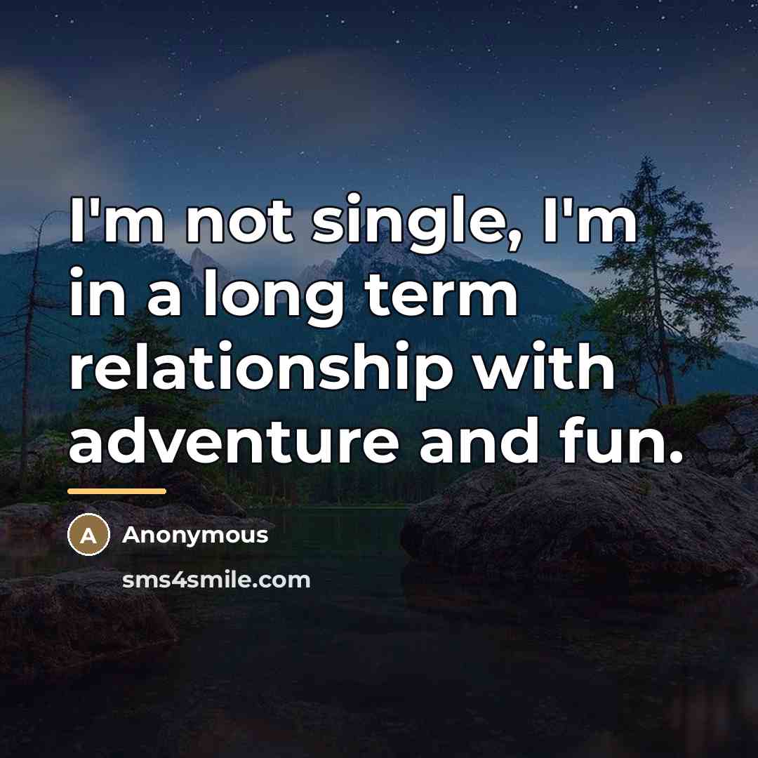 “I'm not single, I'm in a long term relationship with…” quote by Anonymous